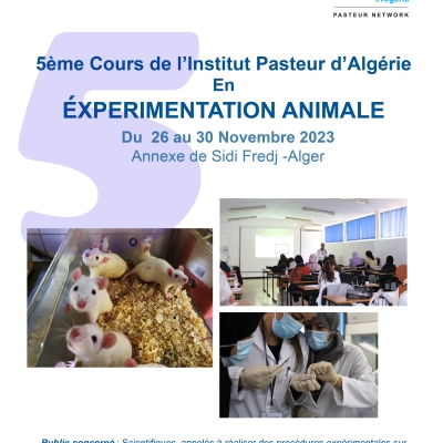 Affiche CEA 5